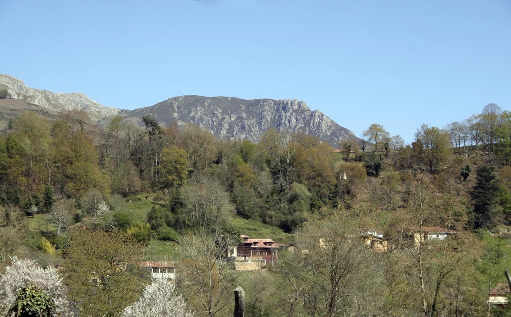 Las Casas Rurales Huerta San Benito Villamayor  Exteriör bild